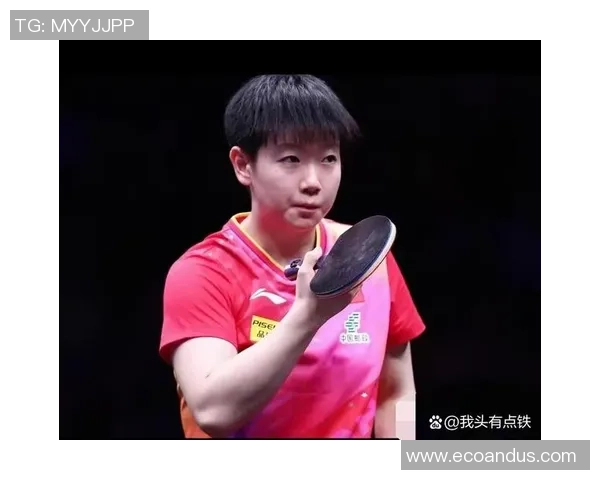 乒乓球传奇之路：深入分析上海乒乓球队员的个人技术与实力