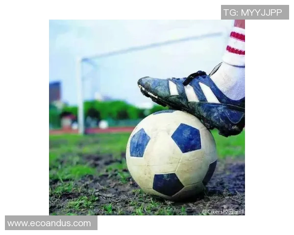 足球明星球鞋品牌的崛起与影响力分析及市场前景展望